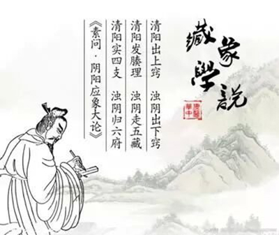 藏象学说400