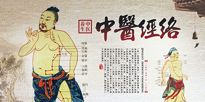 中医经络400