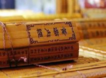 脏腑之象——中医学理论的宝藏
